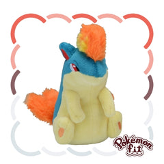 Pokemon Fit Plushie