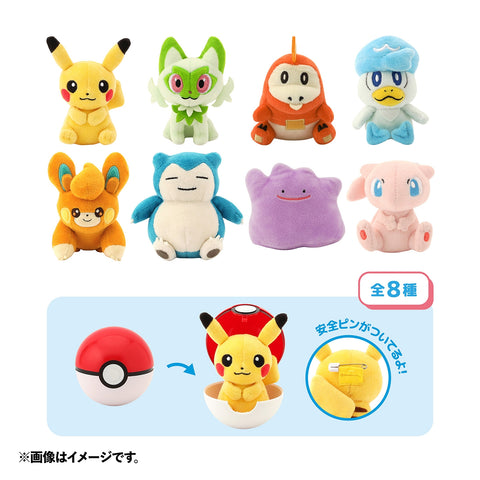 Pokemon Toy