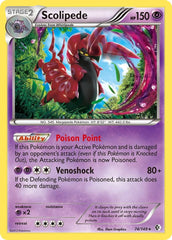 ScolipedeHolofoil